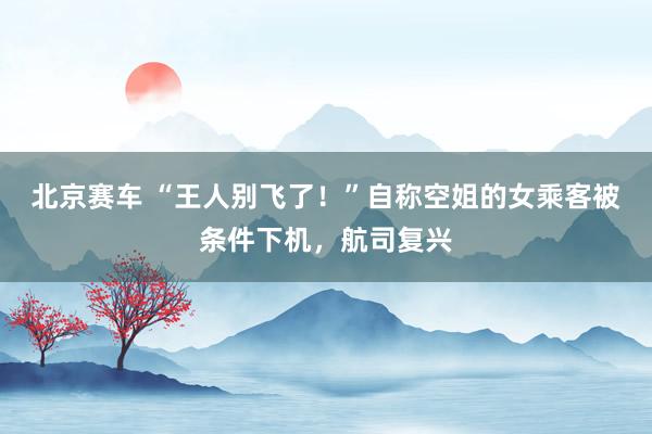 北京赛车 “王人别飞了！”自称空姐的女乘客被条件下机，航司复兴
