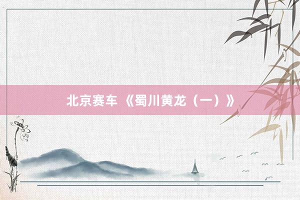 北京赛车 《蜀川黄龙（一）》