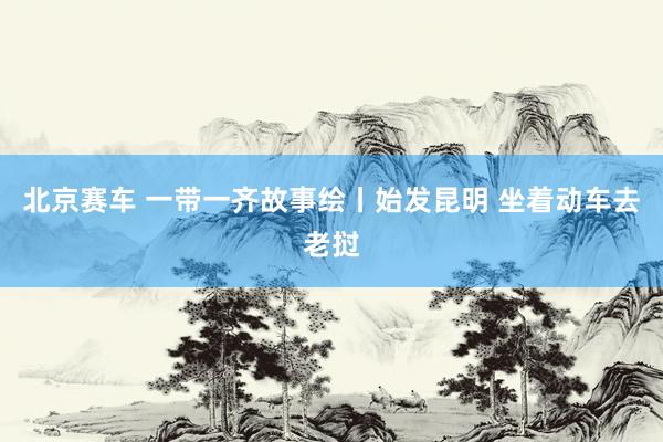 北京赛车 一带一齐故事绘丨始发昆明 坐着动车去老挝