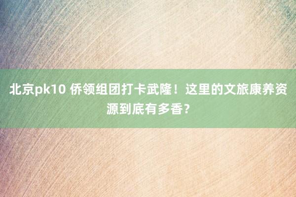 北京pk10 侨领组团打卡武隆！这里的文旅康养资源到底有多香？