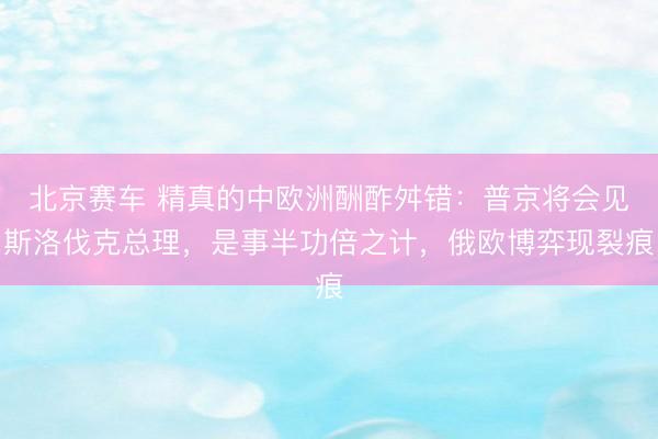 北京赛车 精真的中欧洲酬酢舛错：普京将会见斯洛伐克总理，是事半功倍之计，俄欧博弈现裂痕
